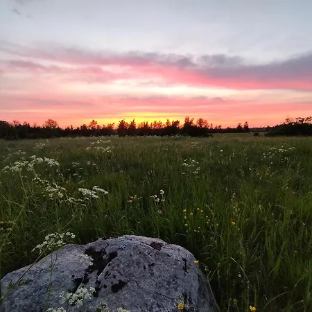 Metsamarja 度假居 *