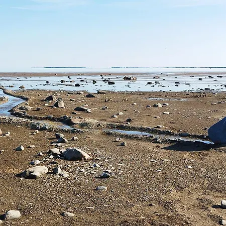 Metsamarja 度假居 Rassa