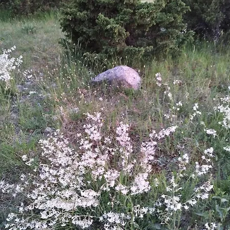 Metsamarja Ferienhaus Rassa
