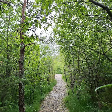 Metsamarja Ferienhaus Rassa
