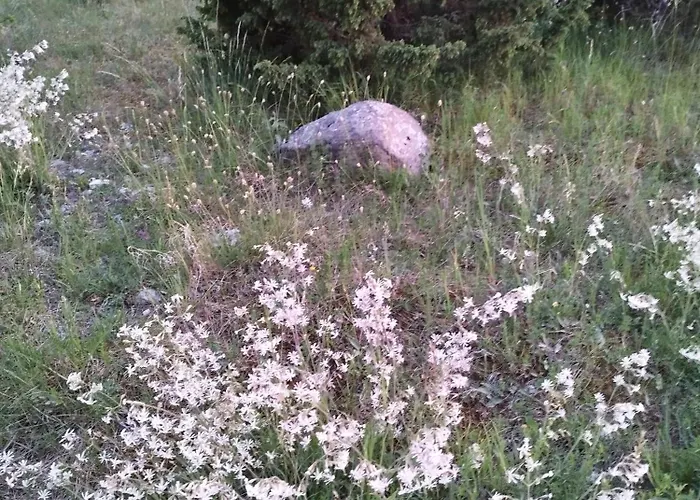 Metsamarja بيت للعطل Rassa