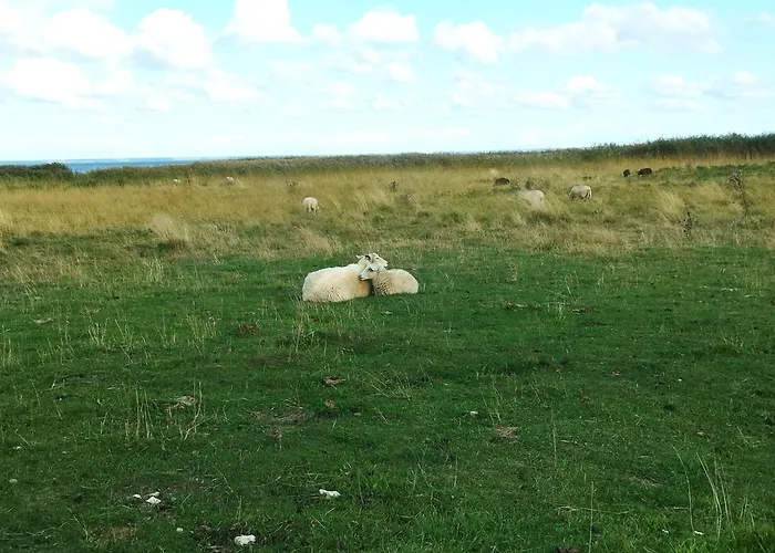 Metsamarja بيت للعطل *