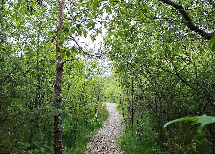 Metsamarja Tatil Evi Rassa